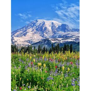 مجموعات الطلاء DIY Diamond للبالغين 5D تدريبات كاملة جولة الكريستال الراين التطريز Mount Rainier Diamond Art Gem Gem Craft Natural Wilderness Landscape Pictures Home Decor Decords 12x16 Inch