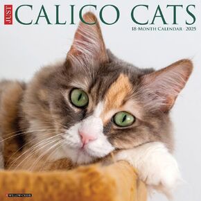 Willow Creek Press, Calico Cats 2025 Wall Calendar