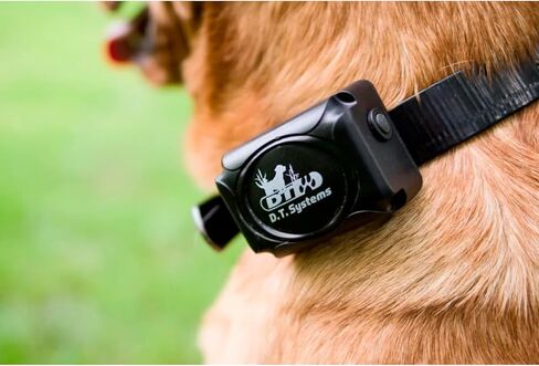 DT SYSTEMS H2O1820 Plus E-Collar, Waterproof Rechargeable Expandable Remote Dog Trainer, 16 Stimulation Levels, Vibration Assist, Black in Saudi Arabia