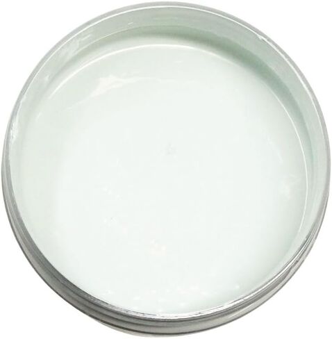 Colorantic | SPRING BREEZE Chalk Paint Based for Furniture DIY - Multi-Surface Craft Paint | LIGHT MINT GREEN COLOR Home Decor Painting (16 oz, Spring Breeze) in Saudi Arabia