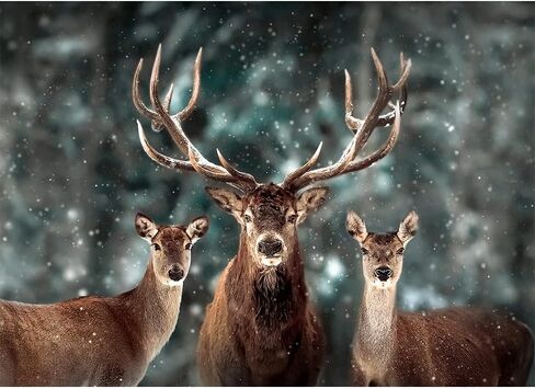 MaxRenard Game 1000 Pieces Jigsaw Puzzle for Adult Animal Toy Noble Deer Family in Saudi Arabia