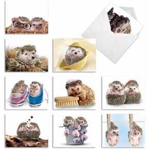 The Best Card Company - 10 Blank Animal Cards Box Set (4 x 5.12 Inch) - Bulk Assorted Pets, Horses, Wildlife Cards for Kids, Camp - Here's Looking at Zoo M6639OCB