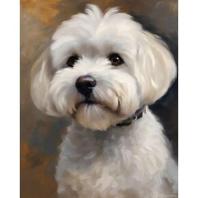 طقم طلاء زيت Qacyid for Beginner Digital Painting Bichon Frize Dog Paint بأرقام للبالغين المبتدئين الفنون للحرفة للديكور ، 40x50cm