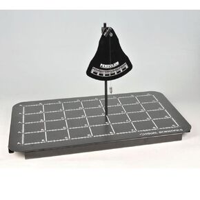 PTPEN Pendulum