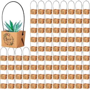aliceset 100 pcs دع الحب ينمو غلافًا عصاريًا غبيًا ، حقيبة غلاف هدية عصارية مع مقبض بلاستيكي كرافت الورق ، مربع هدايا سلة طفل حفل زفاف ، لا تشمل وعاء النبات ， 2.2 × 2.1 × 2.1 بوصة