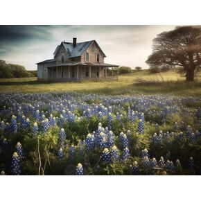 Qazwsx Rustic Diamond Painting Beautiful Texas Bluebonnets Field Modern Natural Landscape 30x40cm ، 12x16inch