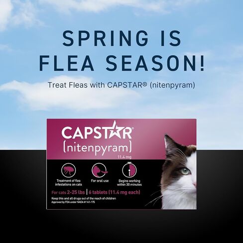 CAPSTAR (nitenpyram) Oral Flea Treatment for Cats, Fast Acting Tablets Start Killing Fleas in 30 Minutes, Cats 2-25 lbs, 6 Doses in Kuwait