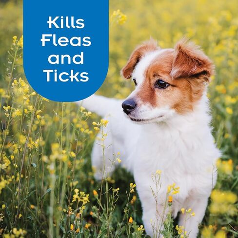 SENTRY Oatmeal Flea and Tick Shampoo for Dogs, Rid Your Dog of Fleas, Ticks, and Other Pests, Hawaiian Ginger Scent, 18 oz in Saudi Arabia