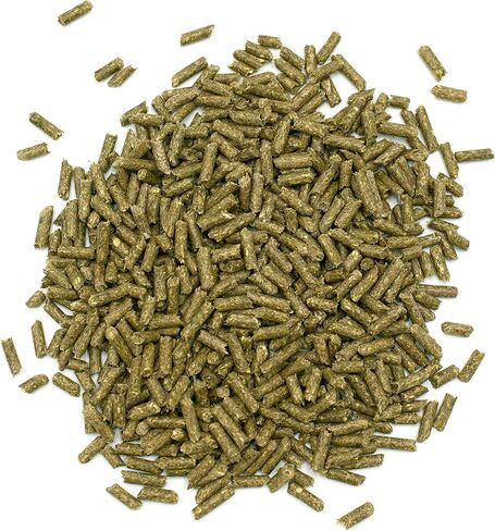 Oxbow Essentials Adult Rabbit Food - All Natural Adult Rabbit Pellets - Veterinarian Recommended- No Artificial Ingredients- All Natural Vitamins & Minerals- Made in the USA- 5 lb. in Kuwait