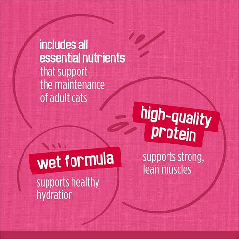 Purina Friskies Gravy Wet Cat Food Variety Pack, Surfin’ and Turfin’ Prime Filets Favorites - (Pack of 40) 5.5 oz. Cans in Kuwait