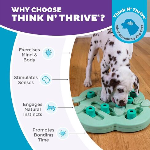 Outward Hound by Nina Ottosson Dog Hide N' Slide Treat Puzzle Enrichment Toy, Level 2 Intermediate, Purple, Composite in Kuwait