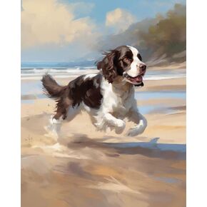 طلاء OKSGYTA بأرقام للكلاب Springer Spaniel الكبار على الشاطئ DIY Canvas طقم الطلاء الزيت للبالغين مع فرشاة الطلاء رسم الطلاء ، 40x50 سم ، بدون إطار