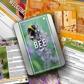 Gift Republic Adopt a Bee Gift Tin