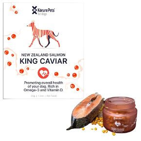 King Caviar Salmon Dog Treats, Rich in Omega 3 Fatty acids for Dogs, Immune Support for Dogs, Dog Training Treats, Salmon Treats for Dogs for Improved Heart Health, Immunity & Cognitive Function 35gr