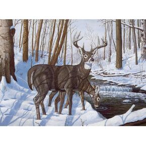 Royal Brush Paint by Number Kit 15.375"X11.25", Mystical Moonlight