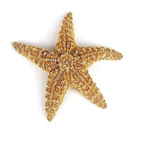 Heyiwell 2PC Sugar Starfish,Real Large Natural Sugar Starfish for Beach Arts and Crafts Home Decor 6"~8"Inch