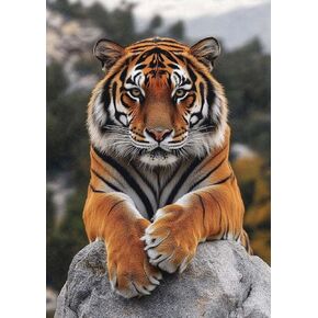 DPOZKU Diamond Painting Kits for Adults Tiger Diamonds Art Paint with Diamonds, 5d Crystal Painting Cross Stitch DIY Round Full Drill Gem Art Crafts Gift Room Wall Decor 12x16 in