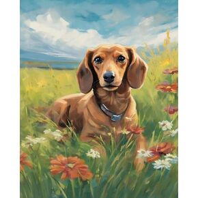 OKSGYTATA DIGIT DIATION PANING ALTION ، DACHSHUND DOG ON FLOWER LAWN ، رسم بالأرقام بأرقام رسم زيت DECER Home Decor