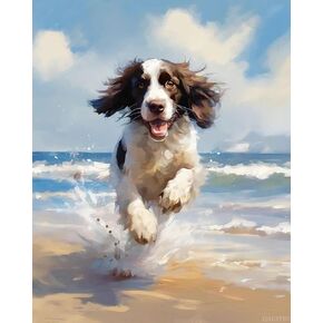 طلاء Qaceyid للبالغين من أدوات الأرقام ، و Springer Spaniel Dog على الشاطئ ، والطلاء بأرقام أرقام على القماش ، واللوحات الزيتية DIY لفنون الحرف والمبتدئين ، 40x50 سم لا إطار