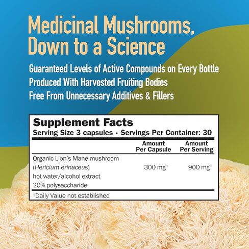 Turkey Tail Mushroom Capsules, Coriolus Super Strength, Natural Mushroom Supplement for Adults, Health Support, Hot Water Extracted Mushrooms, Vegetarian, 500MG, 90 CT in Saudi Arabia