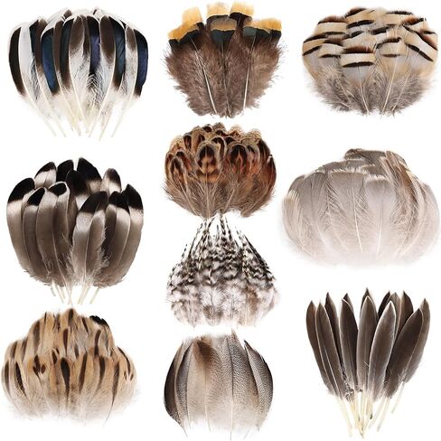 THARAHT 240pcs Mix Colour Eight Style Spotted Small Natural Bulk Feathers 2-6 Inches for for Sewing Crafts Clothing Jewelry Wedding Hair Hats Dream Catcher Decoration Guinea Fowl Feathers in Kuwait