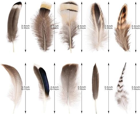 THARAHT 240pcs Mix Colour Eight Style Spotted Small Natural Bulk Feathers 2-6 Inches for for Sewing Crafts Clothing Jewelry Wedding Hair Hats Dream Catcher Decoration Guinea Fowl Feathers in Kuwait
