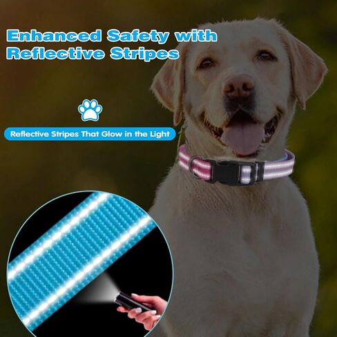 Reflective Dog Collar, Adjustable Soft Nylon Pet Collar with Buckle for Small, Medium, and Large Dogs, Pink-Puple Gradient, M in Saudi Arabia