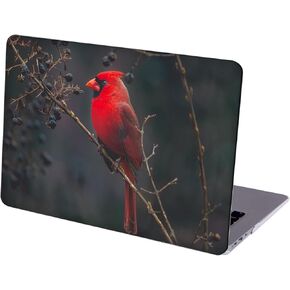 Case Compatible with MacBook MacBook Air 13 inch, Hard Protective Shell with Keyboard Cover (A1369 A1466, 2010-2017 Release) - Cardinals Bird on Tree