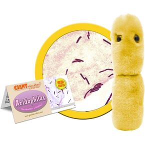 GIANTmicrobes Acidophilus Plush – Learn About Probiotics and The Gut Microbiome with This Educational Gift for Doctors, Students, Biologists, Educators and Anyone with a Healthy Sense of Humor