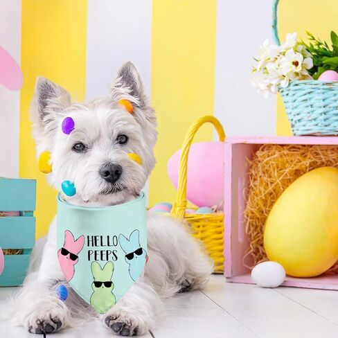 Easter Dog Bandanas, Reversible Shake Your Cotton Tail Dog Kerchief Happy Easter Day Pet Scarfs 2 Pack (06) in Kuwait