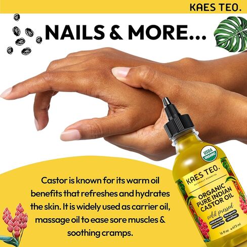 Organic Castor Oil for Eyelashes, Eyebrows, Skin Care, Nail Care, Scalp Treatment, Castor Oil Packs, Hair Growth Oil, Cold-Pressed, USDA Certified, Hexane-Free (2 Fl Oz, Original) in Kuwait