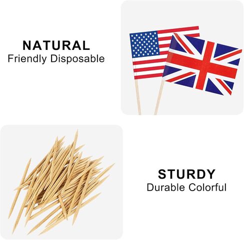 100 Countries Flag National Cupcake Topper Flags Banner Mini Small Country World Toothpick Stick Flags Cake Party Festival Theme Decorations(100Pcs) in Kuwait