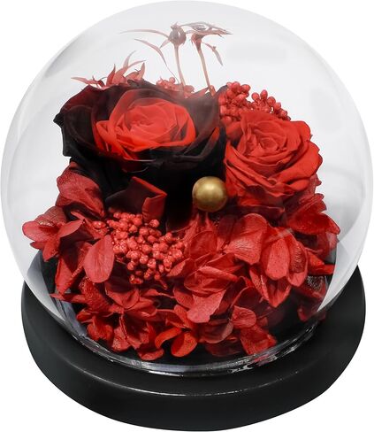 وردة حقيقية محفوظة مع قلادة "I Love You" بـ 100 لغة - هدايا خالدة للصديقة والزوجة والنساء - مثالية لعيد الميلاد وعيد الحب وعيد الأم وأعياد الميلاد والذكرى السنوية وعيد الشكر in Kuwait