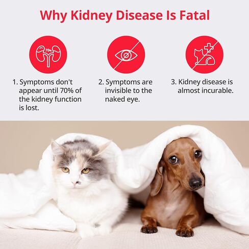 [5 Kits] Free Mobile App (iOS, Android) Urine Test Strips for Dogs & Cats, Renal Function Test at Home, Easy-to- Use ; Support English, Spanish, Korean, and Japanese in Saudi Arabia