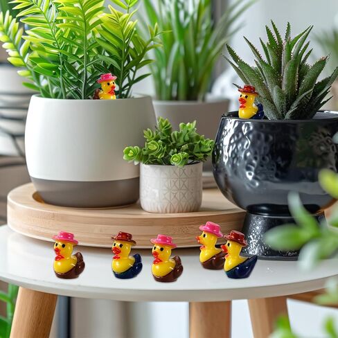 25pcs Mini Resin Cowboy Ducks, Tiny Small Cowboy Sheriff Resin Duck Figurine Miniature Garden Decor for Home Office Car Dashboard Decor Festive Gift(Brown) in Saudi Arabia