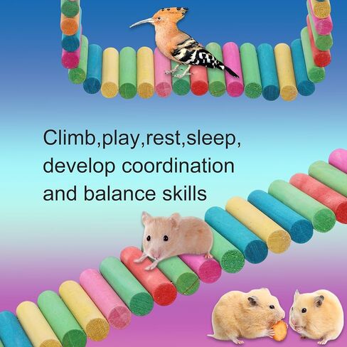 Hamster Bridge, Flexible Bendy Climbing Ladder, Hanging Wooden Hamster Stairs for Small Animals, 15.75" L x 2.36" W, Rainbow Color in Kuwait