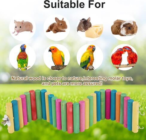 Hamster Bridge, Flexible Bendy Climbing Ladder, Hanging Wooden Hamster Stairs for Small Animals, 15.75" L x 2.36" W, Rainbow Color in Kuwait