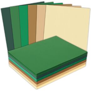 Whaline 300 ورقة متنوعة Cardstock Brown Cardstock 8.5 × 11 "6 ألوان بطاقة الورق المتوسطة سميكة ورق القصاصات الملونة لدعوات بطاقة المدرسة