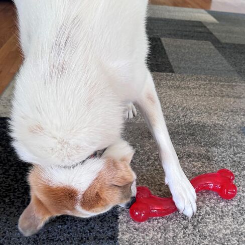 SPOT by Ethical Products - Play Strong - Trident Bone - Dog Toy for Aggressive Chewers Interactive Durable Dog Toy Red 6-Inch in Saudi Arabia