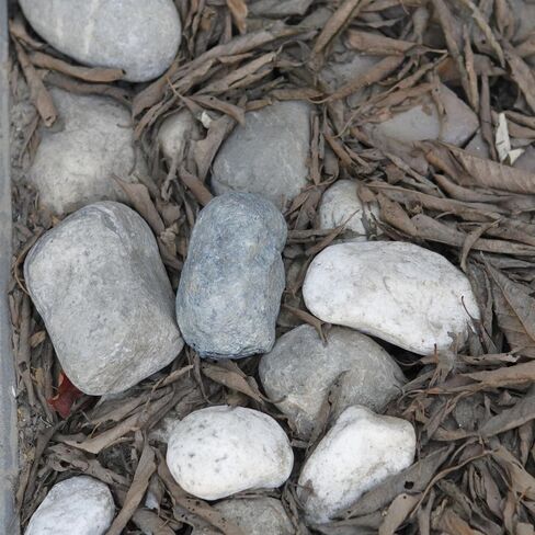 مخفي مفتاح الغيار في الهواء الطلق - مخفوفات مفتاح صخري مزيفة في الخارج ، مثالي لإخفاء مفتاح في الخارج بأمان (رمادي) in Saudi Arabia