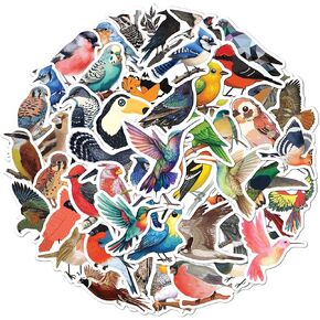 ملصقات Beatri Bird 50pcs ملصقات الطيور المقاومة للماء فينيل لزجاجات المياه ، الكمبيوتر المحمول ، دفتر الملاحظات ، سجل القصاصات ، الأمتعة ، الهاتف الخلوي ، لوح التزلج ، خوذة