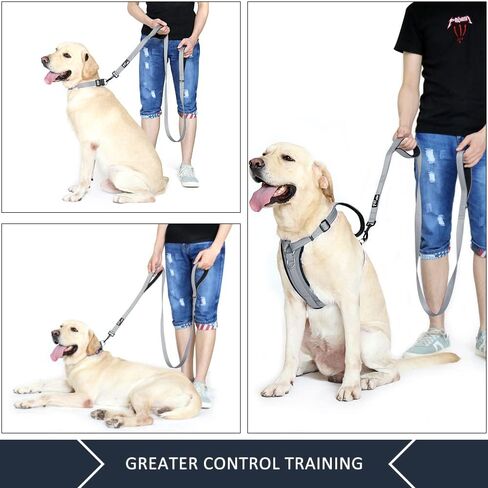 Double Handle Dog Leash, 6ft, Padded, Heavy Duty, Reflective, Red, 2 Handle Leads in Kuwait