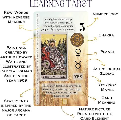 مجموعة التعلم الساحرة Cauldron Tarot للمبتدئين: بطاقات التعلم للمبتدئين ، حامل الساتان ومجلة التارو للتخطيط الروحية (الأرجواني) in Kuwait