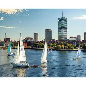 ZUVRDIAI Paint by Numbers Kit for Adults Sailing Boston 16x20Inch DIY Color by Numbers Acrylic Paint Canvas Painting Kits for Beginner