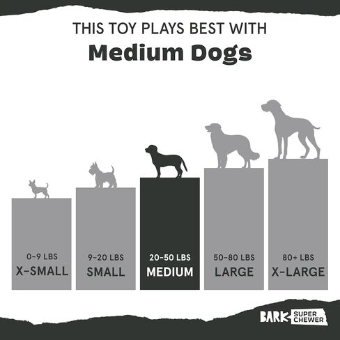 Barkbox Franz The Fox Dog Toy | Natural Rubber, Bacon Scented, Thrashy Tail & Wacky Bounce | Dog Toy for Aggressive Chewers in Saudi Arabia