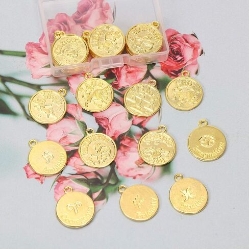 Tupalizy 24pcs Zodiac Sign Scarms Bulk for Betclaces Bracelets key -incain arock المجوهرات جعل المخططين خمرًا الجولة 12 معلقًا كوكبة للهدية عيد ميلاد DIY عيد ميلاد عيد الميلاد in Kuwait