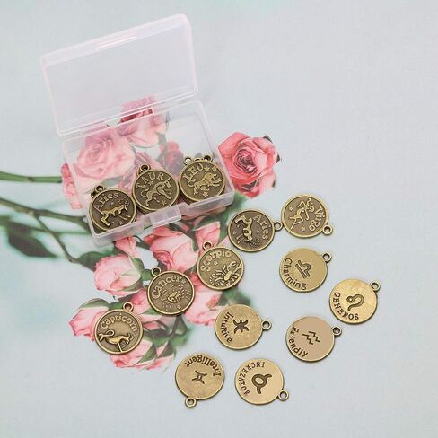 Tupalizy 24pcs Zodiac Sign Scarms Bulk for Betclaces Bracelets key -incain arock المجوهرات جعل المخططين خمرًا الجولة 12 معلقًا كوكبة للهدية عيد ميلاد DIY عيد ميلاد عيد الميلاد in Kuwait
