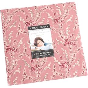 Goodnight Good Irene Layer Cake® ، 42-10 inch precut fabric squares by Betsy Chutchian