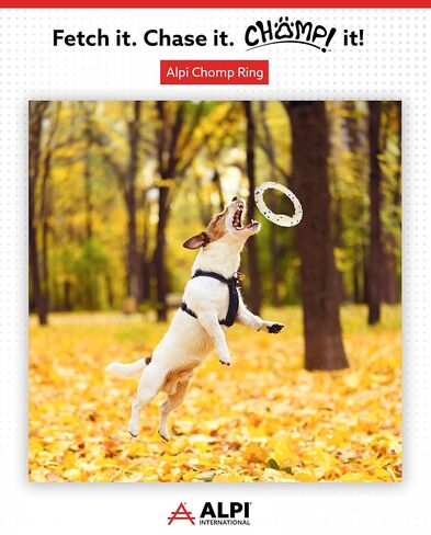 حلقة Alpi chomp - ألعاب جرو لدغة ناعمة ، وذاتية ، للكلاب والحيوانات الأليفة الأخرى - تحفيز ألعاب الكلاب للعب والمرح الحسي (صغير) in Kuwait