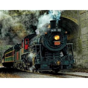 Springbok Puzzle To Demember - نشاط الزهايمر والخرف - 100 قطعة Jigsaw Puzzle Green Mountain Express - مصنوعة في الولايات المتحدة الأمريكية